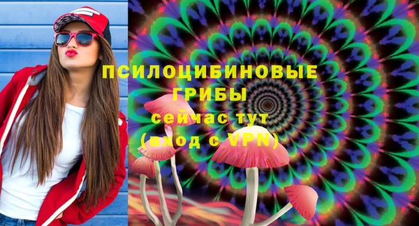 прущие грибы Куйбышев