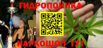 индика Донецк
