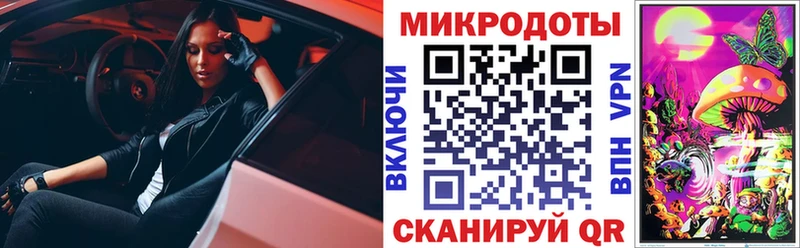 Псилоцибиновые грибы Psilocybine cubensis  Муром 