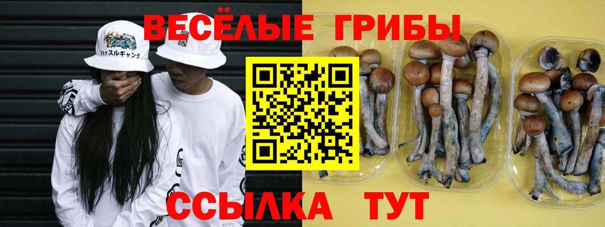 Галлюциногенные грибы Magic Shrooms  Вход с VPN  Галлюциногенные грибы GOLDEN TEACHER  Муром 