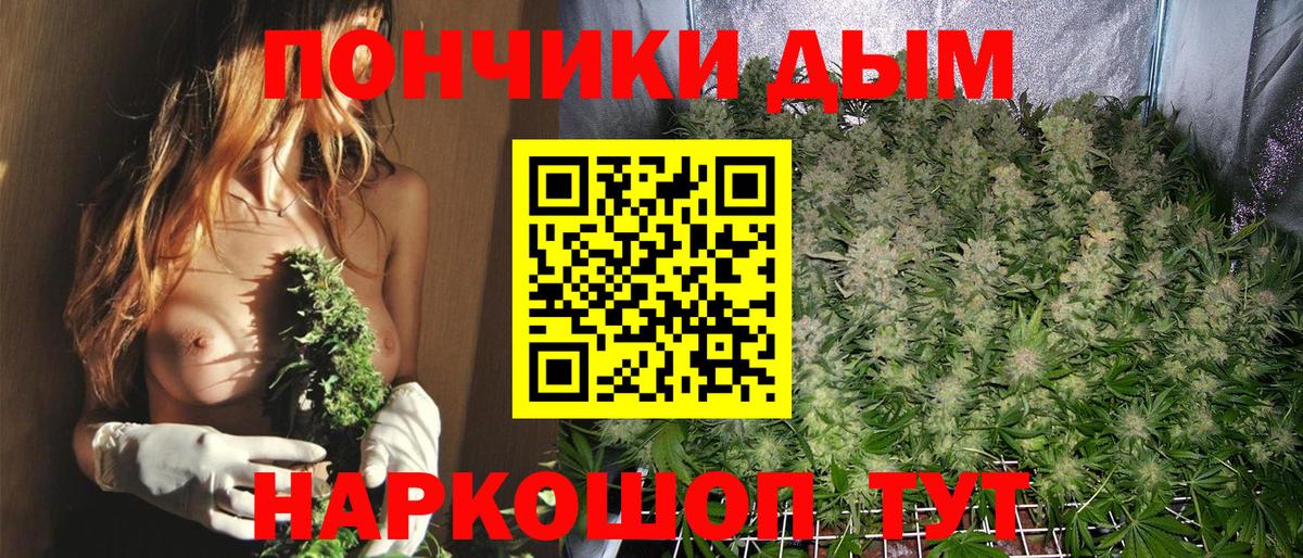 Бошки Шишки индика Муром